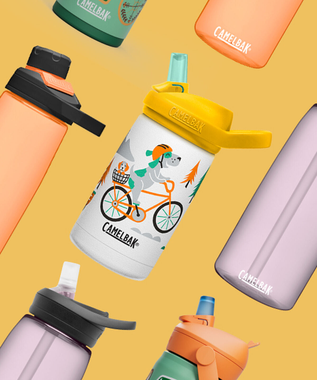 Cycling Bottles