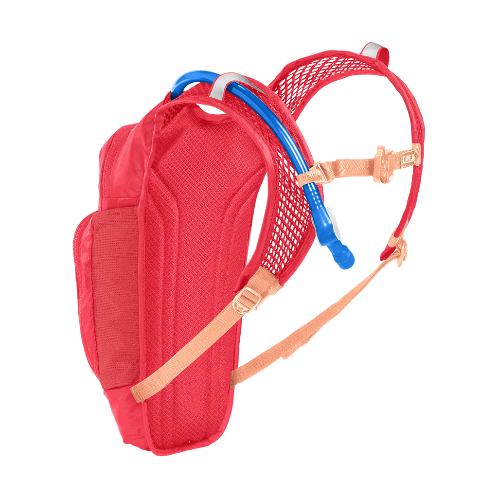 CamelBak Kids' Mini M.U.L.E.® 50 oz Hydration Pack with Crux® 1.5L Reservoir